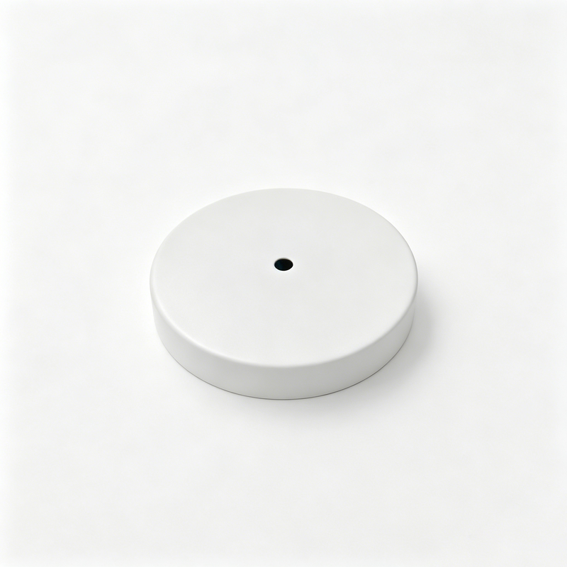Matte White Round Ceiling Canopy Chandelier Pendant Lamp Mount Disc Hardware Assembly Accessory Contemporary Hanging Lighting